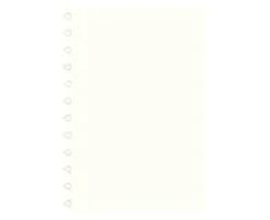 Extrablad olinjerat till Filofax A4 Notebook