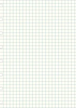 Extrablad rutade till Filofax Notebook A5