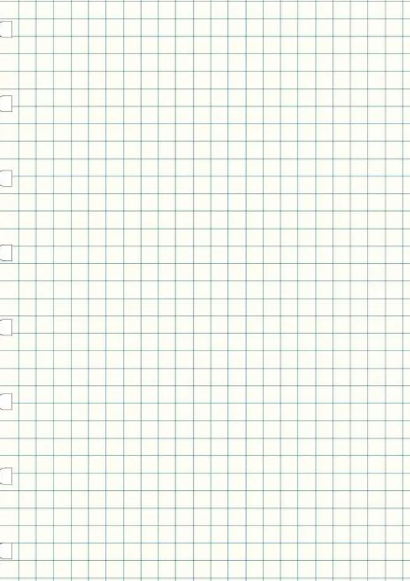 Extrablad rutade till Filofax Notebook A5