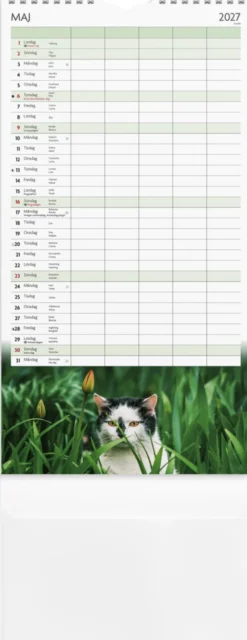 Familjekalender Katter 2026-2027
