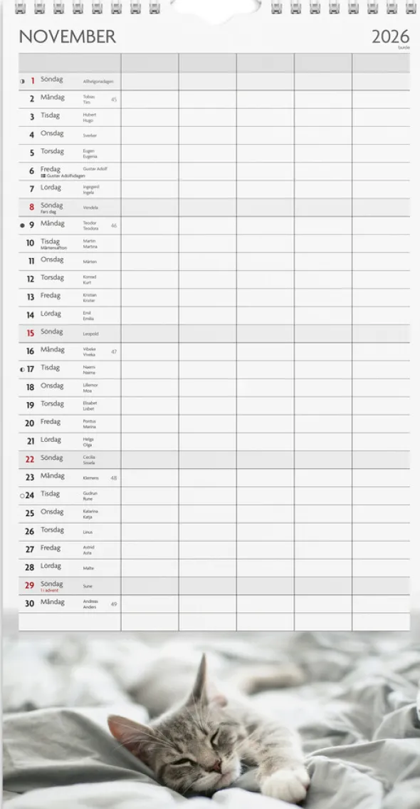 Familjekalender Katter 2026-2027