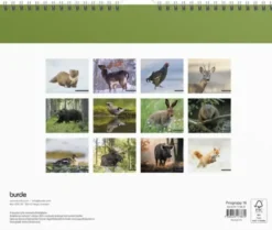 Jaktkalender 2027