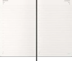Kalender Moleskine Daily Hard Large Black 2027
