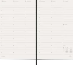 Kalender Moleskine Weekly Pro Vertical Svart hard large 2027