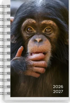 Kalender Pets 4i1 Compact 79x127mm 2026-2027