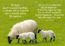 Älskade Baby- Citatbok