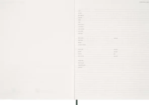Moleskine Essential Planner Weekly Vertical XXL Myrtle Green2027