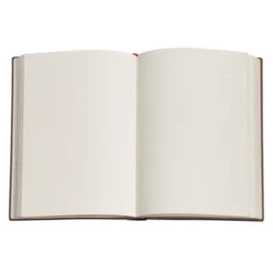 Paperblanks Notebook Midi Les Papillons lined