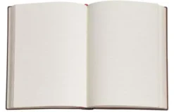 Paperblanks Notebook Midi Lined Vault of the Milan Cathedral