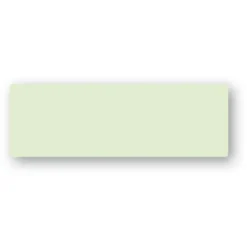 Placeringskort Enkla 10-pack 220g Lime