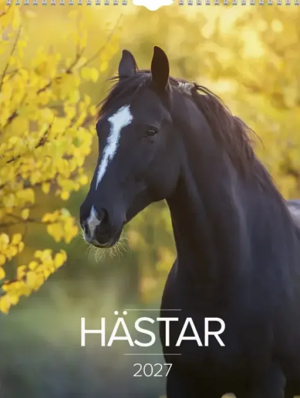 Stora Hästkalendern 2027