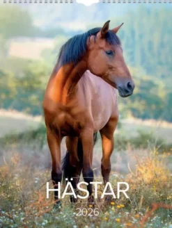 Stora Hästkalendern 2026