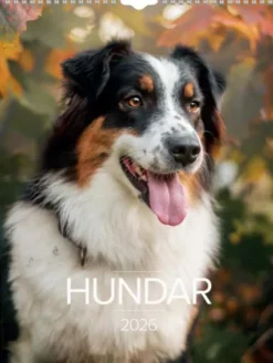 Stora Hundkalendern 2026