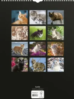 Stora Kattkalendern 2027