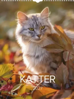 Stora Kattkalendern 2027
