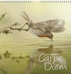 Väggkalender Carpe Diem 2027