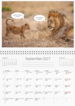 Väggkalender Djurkul 2027