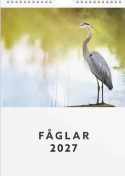 Väggkalender Fåglar 2027