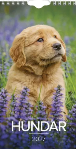 Väggkalender Hund Liten 2027