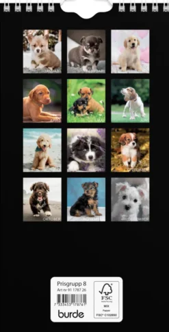 Väggkalender Hund Liten 2026