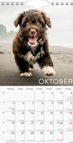 Väggkalender Hund Liten 2026