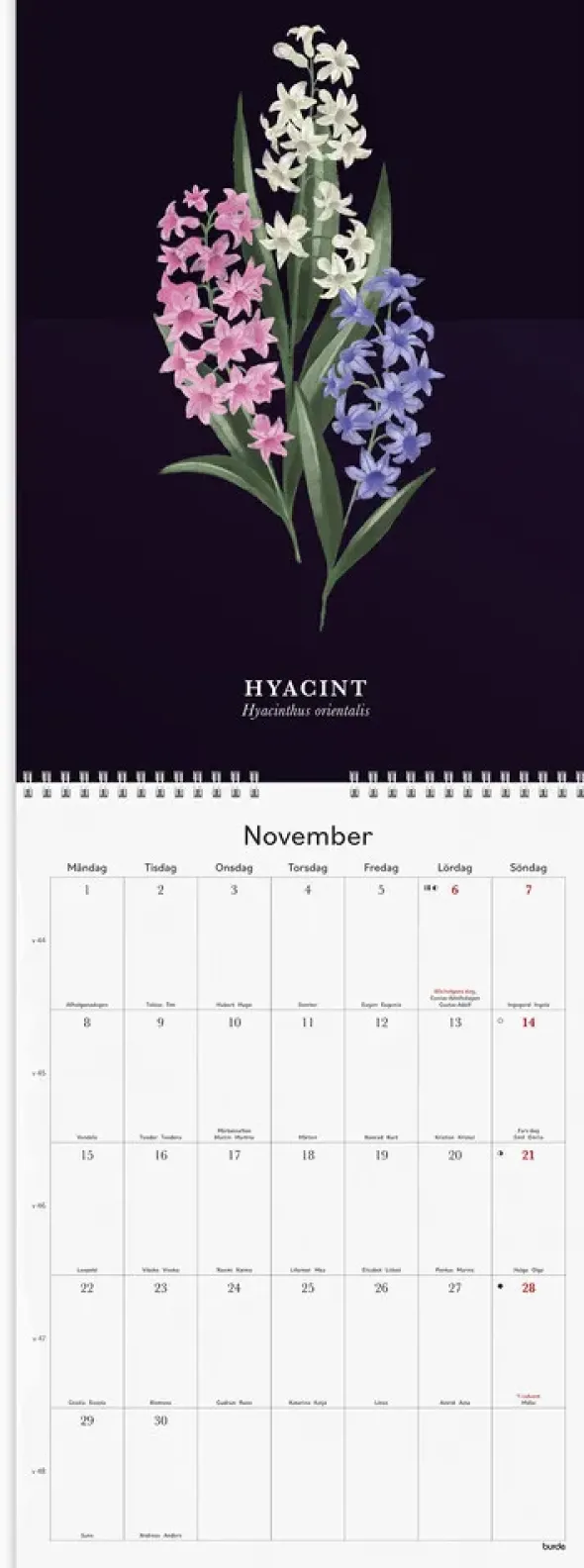 Väggkalender Illustrerad Blomster 2027