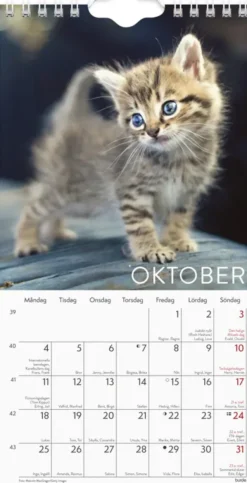 Väggkalender Katt liten 2027