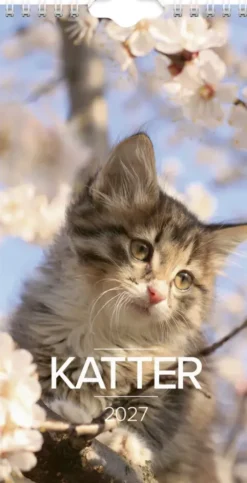 Väggkalender Katt liten 2027