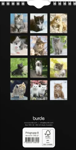 Väggkalender Katt liten 2027