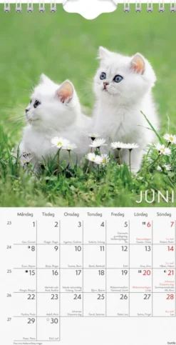 Väggkalender Katt liten 2026