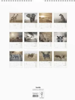 Väggkalender Savannen 2027
