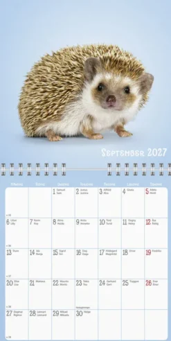 Väggkalender Sötnosar 2027