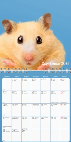 Väggkalender Sötnosar 2026