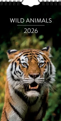 Väggkalender Wild animals 2026